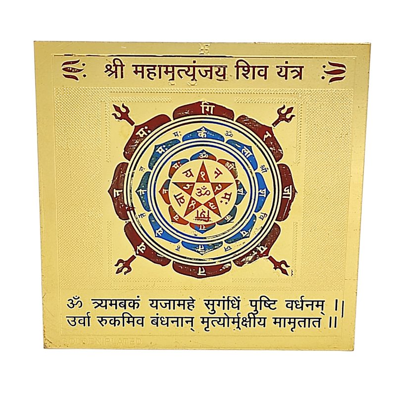 shree-mahamrityunjaya-vastu-yantra-800×800-1.jpg
