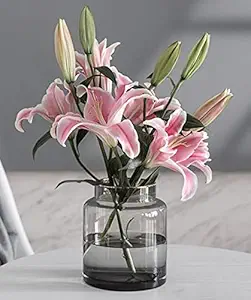 41oSiXFdUrL._SY300_SX300_QL70_FMwebp_